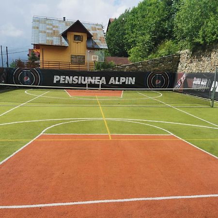 Pensiunea Alpin ルンカ エクステリア 写真
