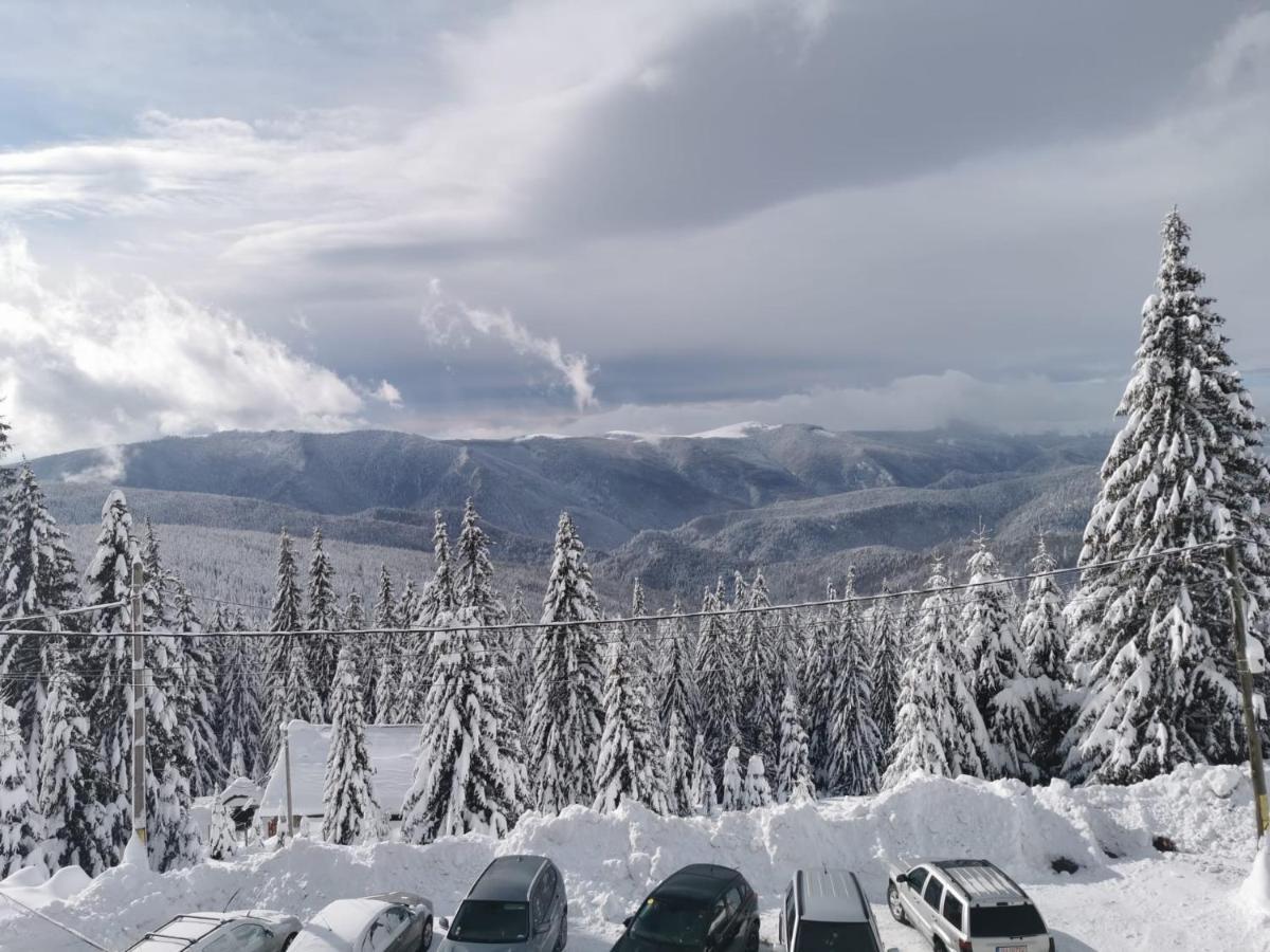 Pensiunea Alpin ルンカ エクステリア 写真