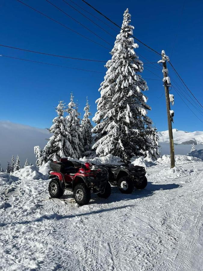 Pensiunea Alpin ルンカ エクステリア 写真