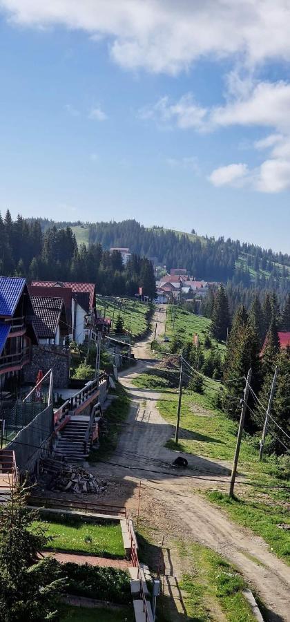 Pensiunea Alpin ルンカ エクステリア 写真