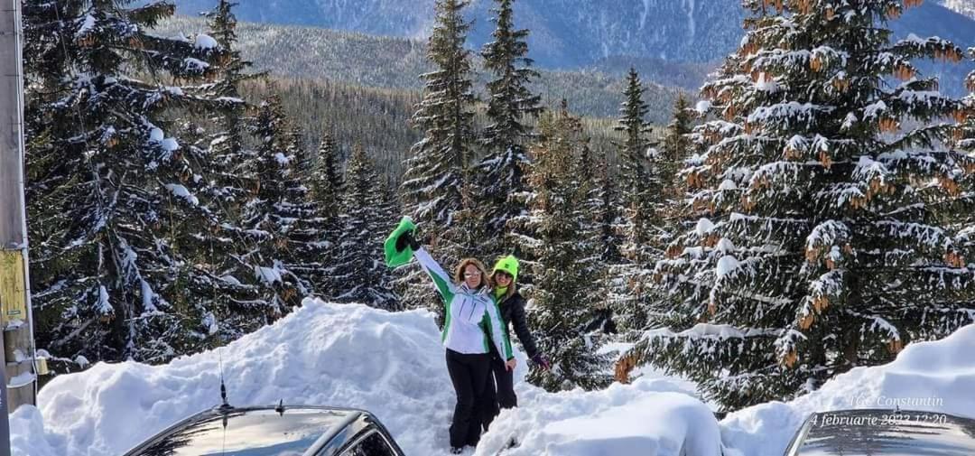 Pensiunea Alpin ルンカ エクステリア 写真